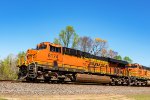 BNSF 8174